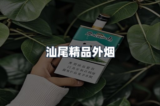 汕尾精品外烟
